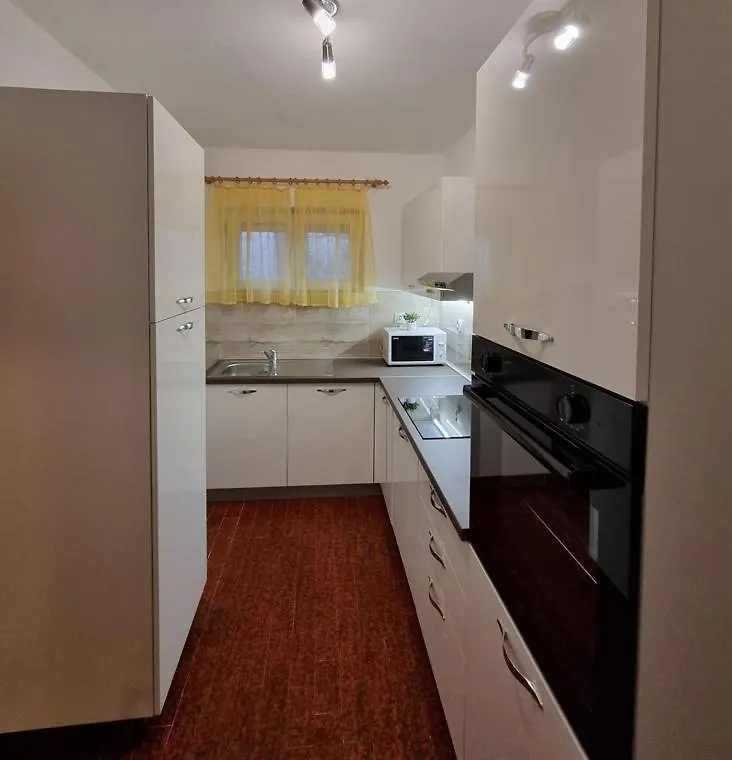 Apartments Silvana 597 Guest house Vlasici